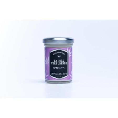 Bougie Ruée vers l'Herbe Apaisante